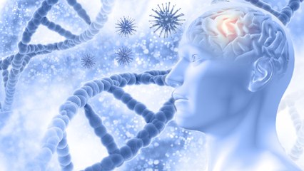 Científicos identifican un nuevo canal sensorial entre bacterias y neuronas