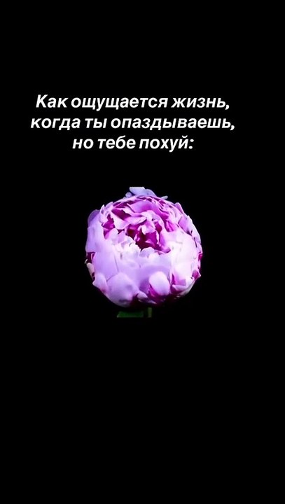 For every follower