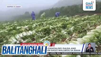 Ilang magsasaka, nagmadaling isalba ang kanilang mga pananim bago malubog sa baha | Balitanghali