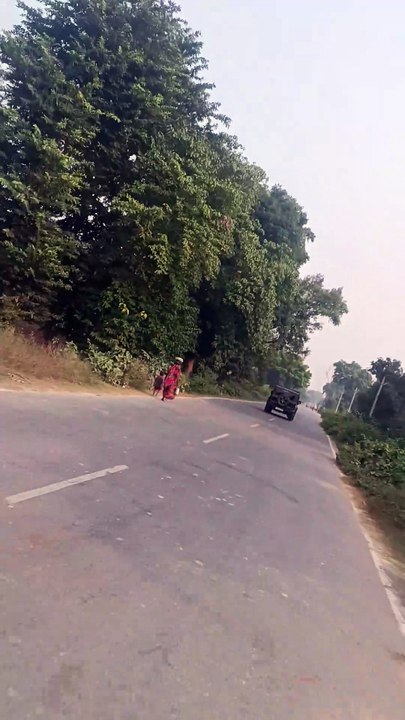 Jungle road thar view
