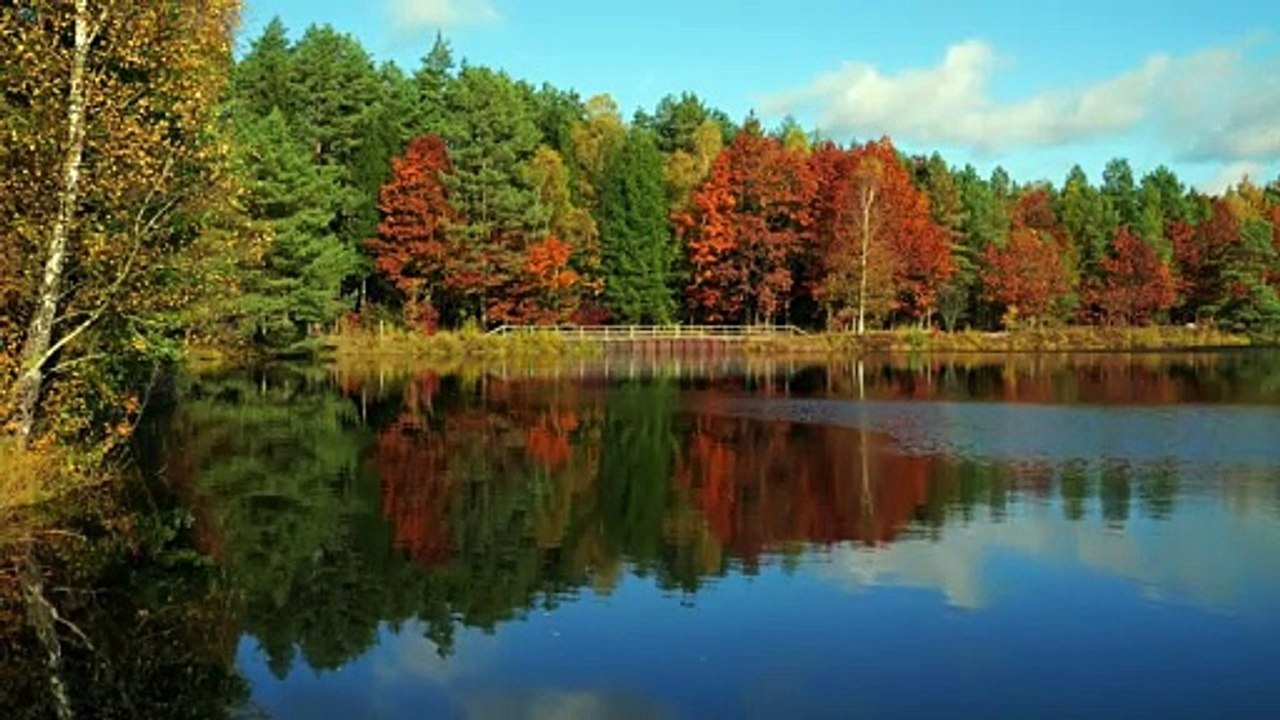 Serenity Sounds – The Ultimate Relaxation Music...