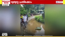 പാലക്കാട് റോഡിന്റെ ശോചനീയാവസ്ഥയിൽ വ്യത്യസ്ഥ പ്രതിഷേധവുമായി കോൺഗ്രസ്