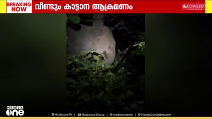 മലപ്പുറം നിലമ്പൂർ പെരുവമ്പാടത്ത് കാട്ടാന ആക്രമണം ....