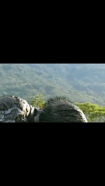 What a scene transformers
