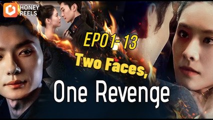 Two Faces, One Revenge