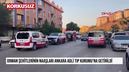 Orman şehitlerinin naaşları Ankara Adli Tıp Kurumu'na getirildi