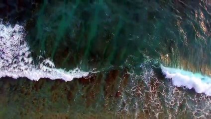 Breathtaking Aerial View of Vibrant Coral Reefs 🌊