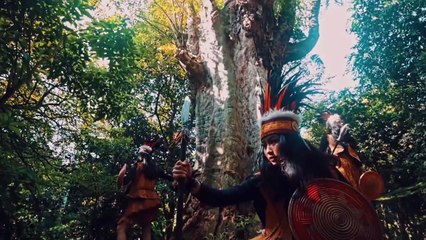How Indigenous Wisdom Fights Climate Change