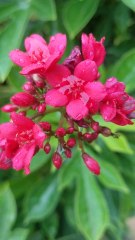 alquran,ال قرآن Islamic video please like my video and follow my channel 🙏💓💓💓