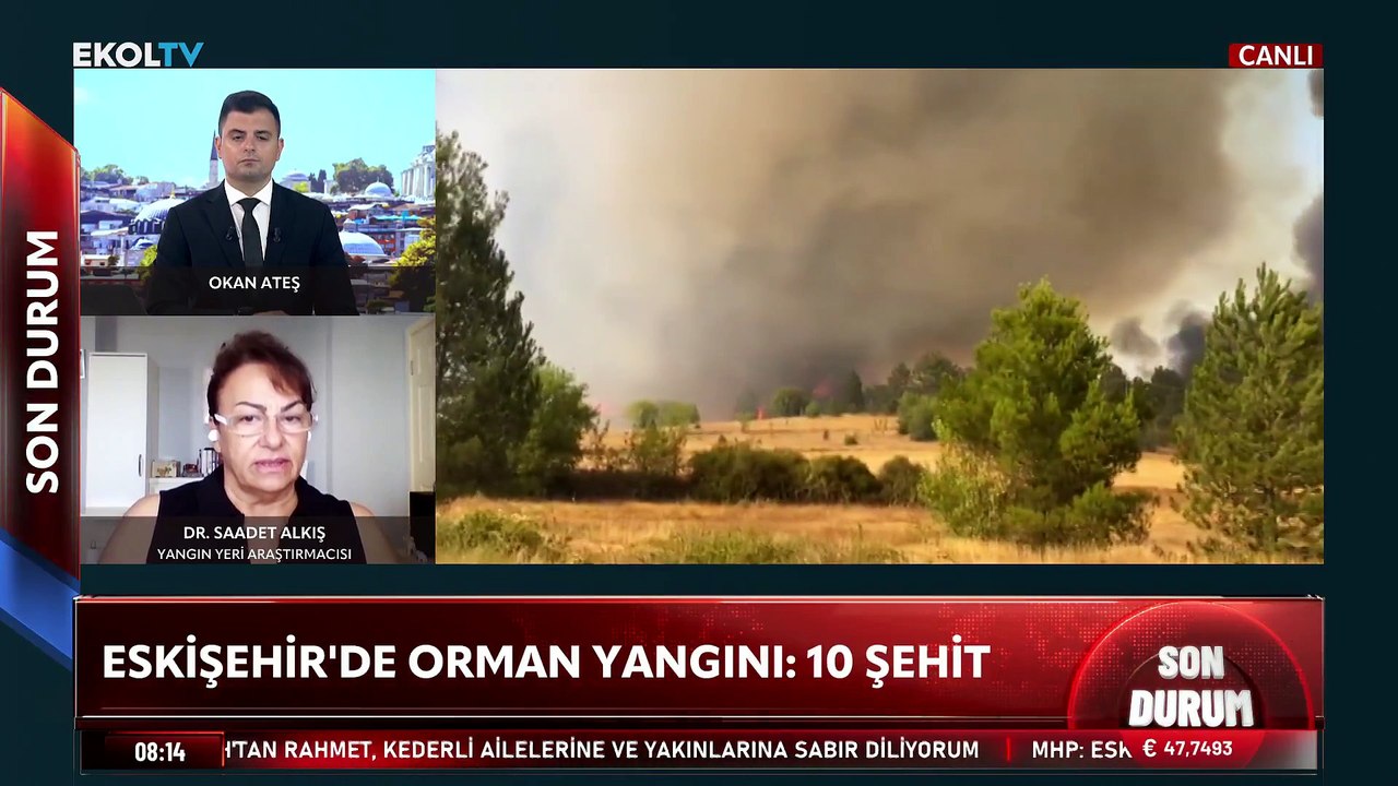 Dr. Alkış'tan orman yangınlarına ilişkin çarpıcı açıklama