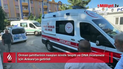 Orman şehitlerinin naaşları kimlik tespiti ve DNA incelemesi için Ankara'ya getirildi