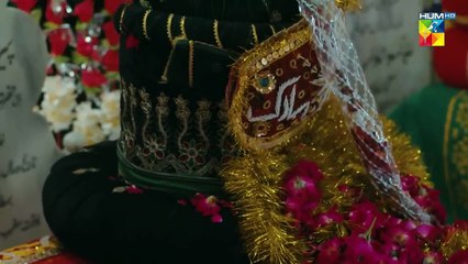 Raaja Rani - Episode 23 - 23rd July 2025 [ Hina Afridi & Faysal Qureshi ]