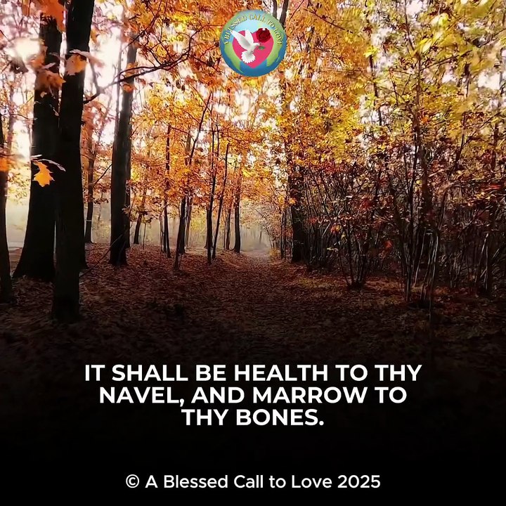 Proverbs 3:5-9 Scripture Song 🕊️🎶