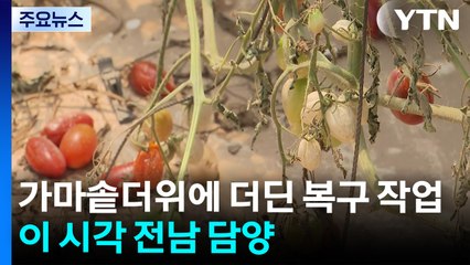 가마솥더위에 더딘 복구 작업...이 시각 전남 담양 / YTN