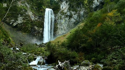 "Kudrat ka Husn 🌿 | Peaceful Nature Scene with Waterfall"