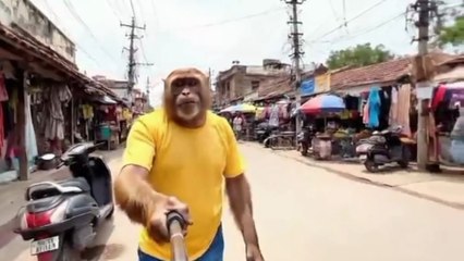 My 1st Vlog 🐵 | AI Monkey Vlogs | AI Monkey Shorts | How to Make AI Monkey Videos #Dailymotion