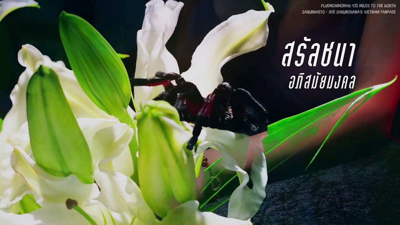 [Vietsub] Yêu trước mặt phản sau lưng - EP.12