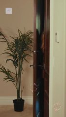 The Ex-Wife's Comeback Strategy Full Movie