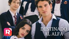 DESTINADA AL ALFA