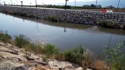 Edremit Çayı Zehir Saçıyor!