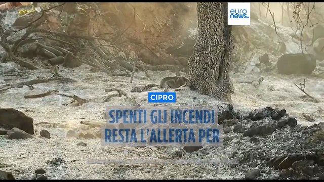 Spenti gli incendi a Cipro, ma resta alta l'allerta per la temperatura sopra i 40 gradi