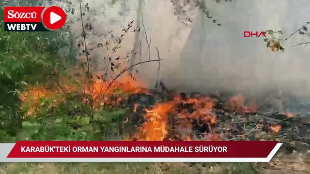 Karabük'teki orman yangınlarına müdahale sürüyor