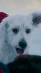 On July 11, It Begins. Superman - Only in Theaters 2025