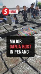 Penang cops nab four with RM3.72mil worth of ganja