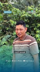 Warga Rugi, Air Limbah TPA Lubuk Kamal Kalianda Genangi dan Rusak Lahan Pertanian Warga