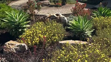 Selling Fast in Phoenix? Watch This First