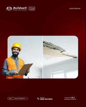 Tired of Recurring Cracks Make the Permanent Switch to Buildwell Gypsum Plaster