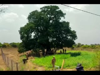 Top Indian Web Series to Look Out for in 2025 – Exceptional OTT Programming!