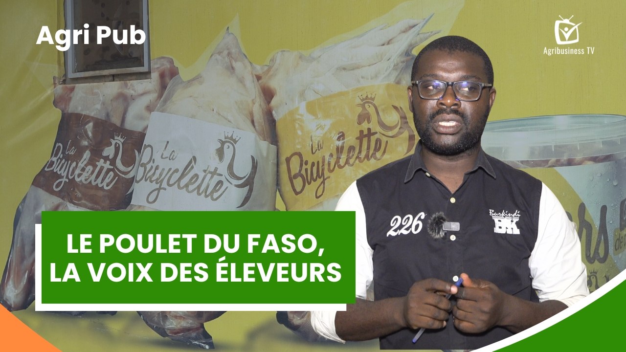 Agri Pub : Le poulet du Faso, la voix des éleveurs