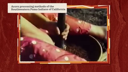 The fish war  !! Will it be interesting || back to history