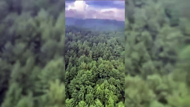 Avião com 49 pessoas cai no extremo leste da Rússia; buscas confirmam ausência de sobreviventes