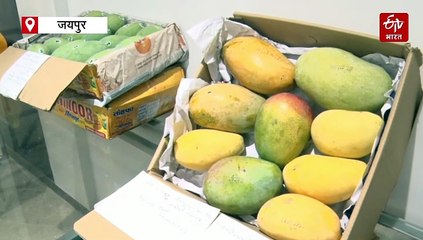 यूपी के आम राजस्थान के कोने-कोने में पहुंचाने की कवायद, आम की बागवानी को बढ़ावा देने पर भी मंथन