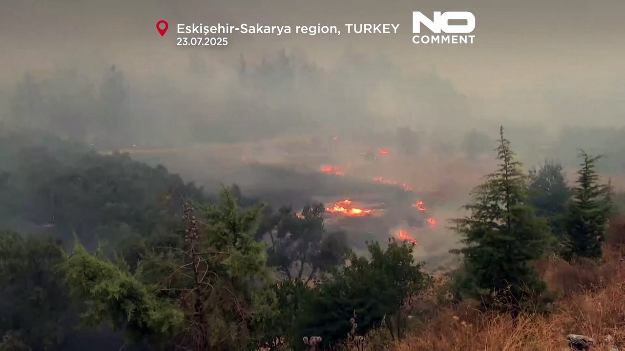 Windeinschlag fesselt Feuerwehrleute im tödlichen Waldbrand in der Türkei