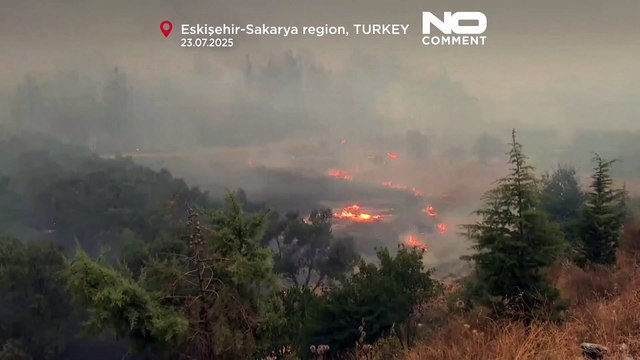Смертельный лесной пожар в Турции: из-за смены ветра пожарные попали в ловушку