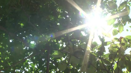 [날씨] 전국 대부분 폭염경보...밤에도 30℃ 안팎 더위 계속 / YTN