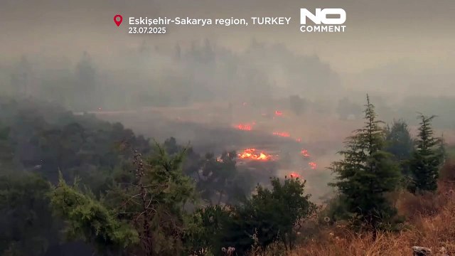 Τουρκία: Νεκρά μέλη ομάδας επέμβασης σε πυρκαγιά – Συνεχίζονται οι μάχες με τις φλόγες