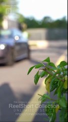 Over And Done (2025) - FULL HD ENG SUB