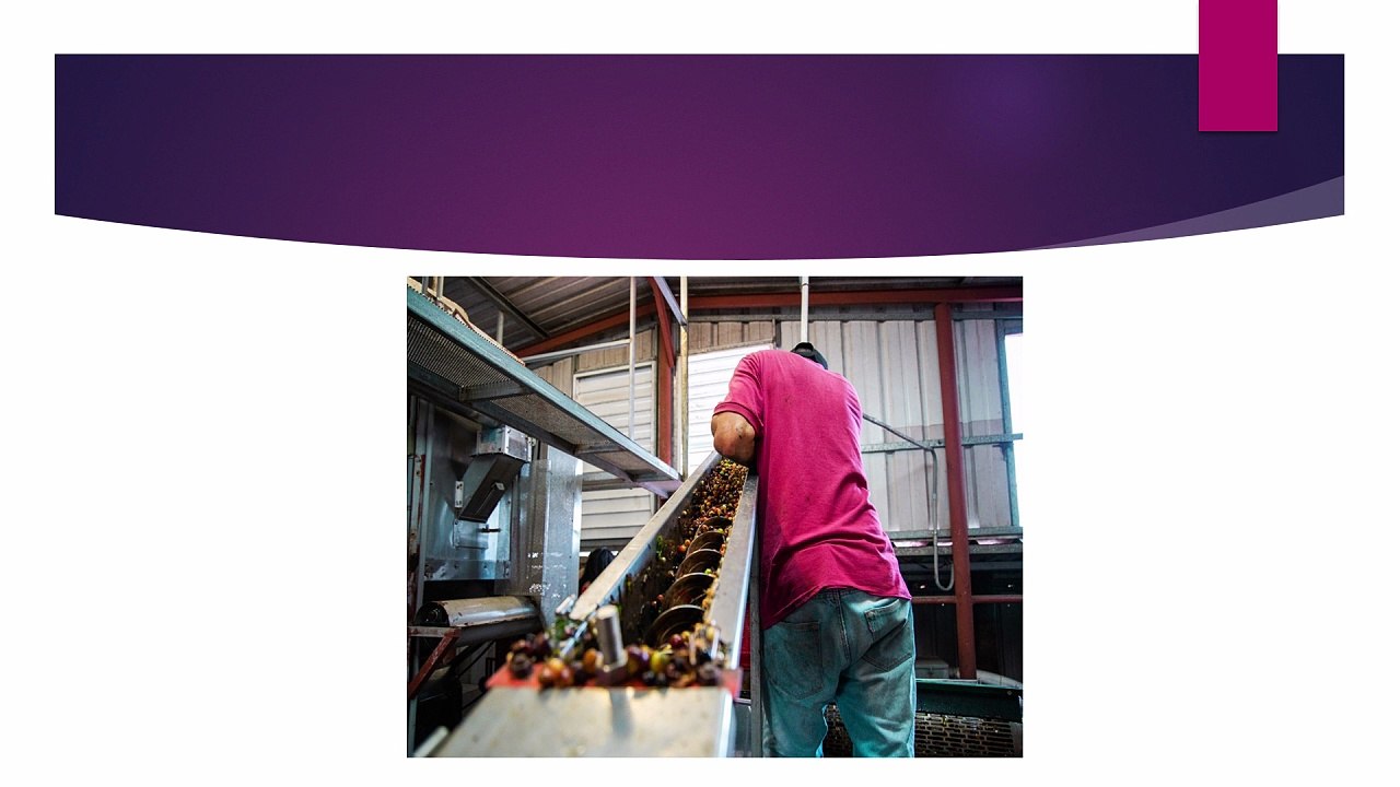 Grain Handling and Storage Systems in India: Enhancing Food Security