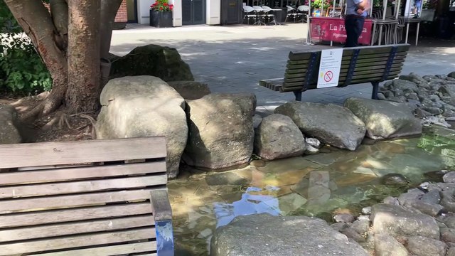Campaign launched to save Horsham town centre stream, rocks and trees