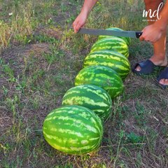 Impressive Ways To Cut Fruits & Veggies