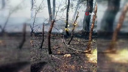 Eskişehir'deki yangında şehit olan ekibin son görüntüsü ortaya çıktı! AKUT görevlilerinin yürek burkan fotoğrafı