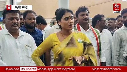 మద్యం కుంభకోణం ఓ ఆర్థిక నేరం - జగన్ సమాధానం చెప్పాలి: వైఎస్ షర్మిల