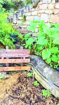 Donato de Santis contó la verdad sobre sus días de incógnito en un restaurante en Italia al que se fue a empezar de cero, y sorprendió a todos. Miralo.