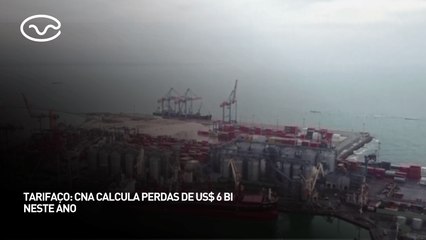 Tarifaço de Trump pode cortar pela metade as vendas do agro brasileiro.