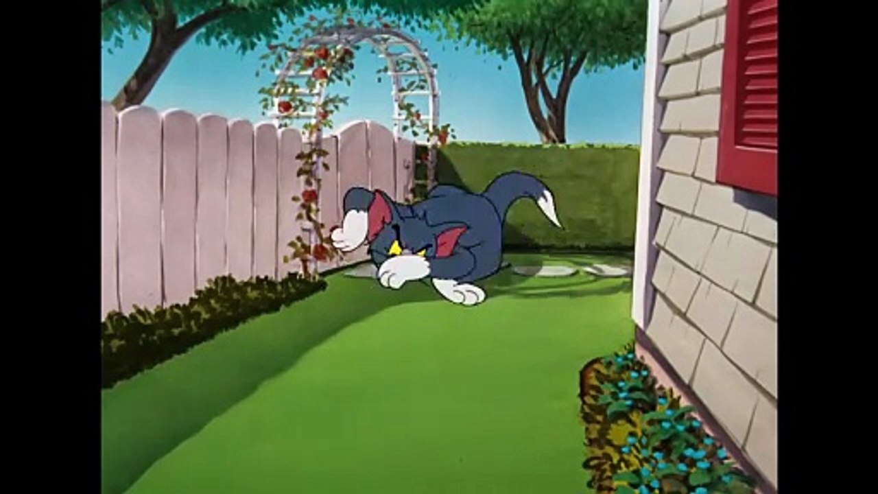 Tom and Jerry Cartoon Part 71
