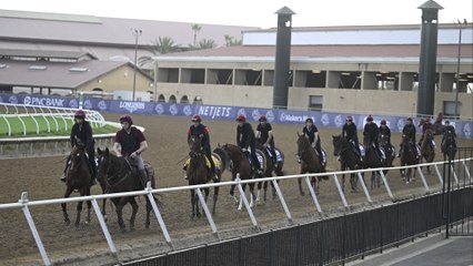 Analyzing Top Contenders This Weekend at Del Mar Track